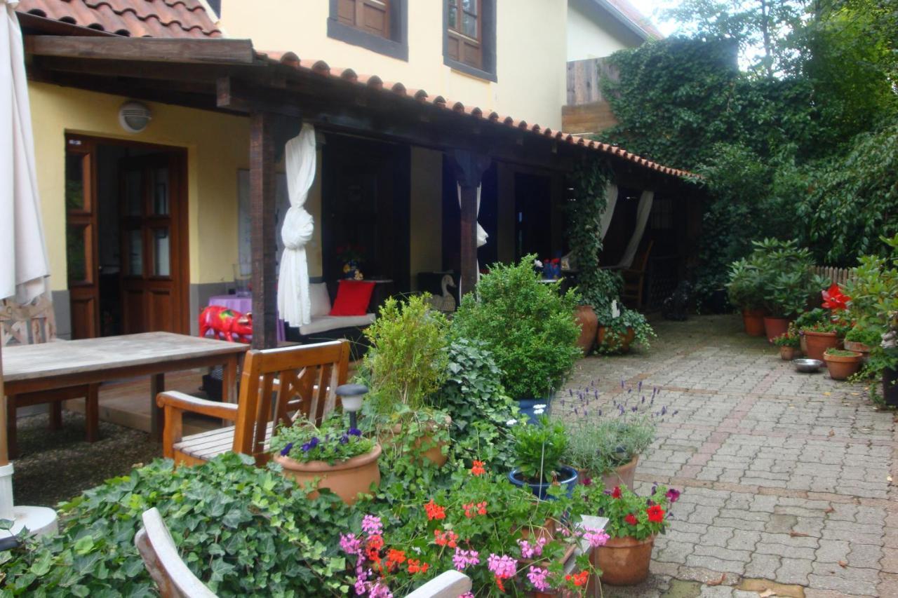 Apartement De Vacances Alsace - Ferienwohnung Elsass - Holiday Apartment Alsace Bischwiller Exterior photo